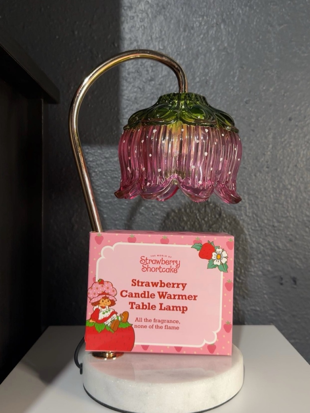 Strawberry Shortcake Pink Glads Candle warmer  Lamp